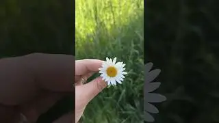 Возвращение домой. Ожидание и реальность не совпали