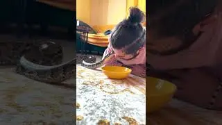 Su içene Yılan dokunur mu? (işte cevabı) 