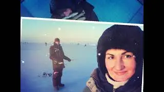 03.01.2021 Приморский край, г. Владивосток. Чайка.