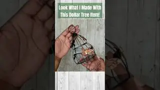 🔥 Grab This for a Year Round Decor Idea for Your Home! #dollartreediy #shesocraftdee #shorts