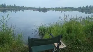 Рыболовный Стрим