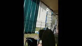давайте жить друзья