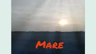 GIORNATA A ROSOLINA MARE❤️