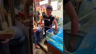 Live Squid 