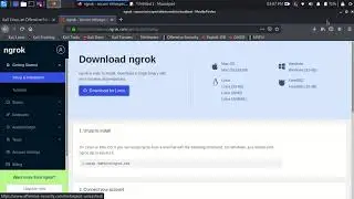 How to install ngrok in Kali Linux ?