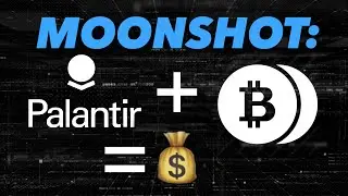 Moonshot: Palantir Buys Bitcoin for 3 Key Reasons | Should, Could, Would PLTR Make This Crypto Move?