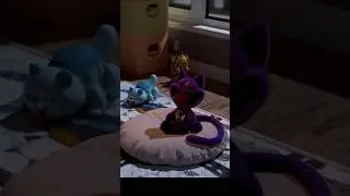 Your New Favorite Toy