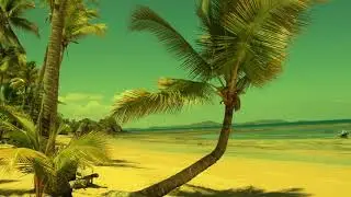 ''BeachPLZ'' - Island / pop / dancehall / instru 2019