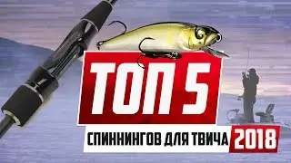 5 ЛУЧШИХ БЮДЖЕТНЫХ СПИННИНГОВ ДЛЯ ТВИЧА 2018 года