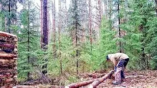ИЗБА растёт! Ночь в землянке. Баня в лесу. Таёжный быт. Тут жить можно!