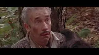 обезьянка