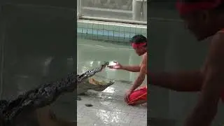 Да щас сожрет 