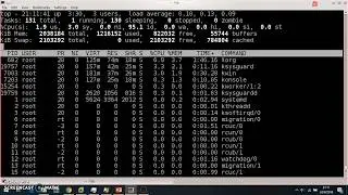 Gestión de Procesos en Linux
