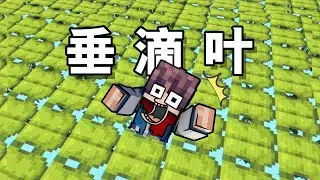 MC當世界全是垂滴葉？腿都跑抽筋了啊喂！！！