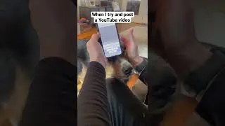 Play with me!