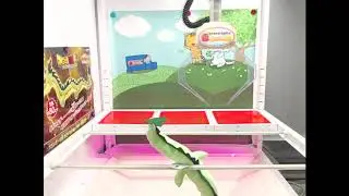 Gottem