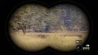 Solo Hunter: Call of the wild