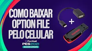 COMO BAIXAR OPTION FILE PELO CELULAR | TUTORIAL 2024 (NÃO PRECISA DE PC)