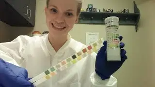Urinalysis Lab Test & Urine Dipstick Test  Explained!