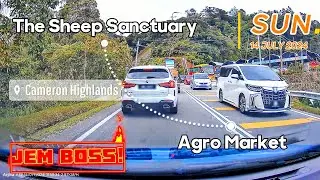 [DRIVE] AGRO MARKET - THE SHEEP SANCTUARY | CAMERON HIGHLANDS - 14 JULY 2024