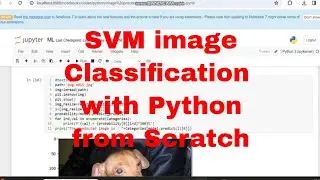 Image Binary Classification SVM Scratch Python Code / SVM Scratch Python Code 