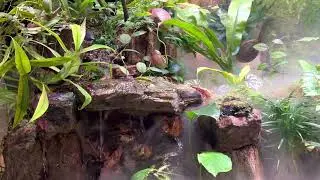 #plantedtank