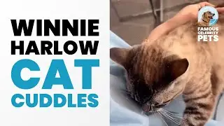 Winnie Harlow Is Giving Some Love to Her Playful Cat!🐱👗