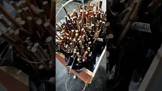 Простий спосіб вкорінювання живців винограду