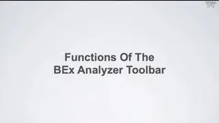 SAP BW BI - Functions of the SAP BEx Analyzer Toolbar