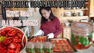 MAKE WET TOMATO CHIPS LIKE THE BRITISH HARVEST || SUNDRIED TOMATOES USING THE OVEN