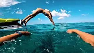 Valiant Kings - Can You Feel The Love