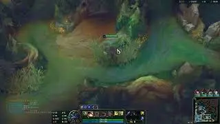 TfT dau truong nhan pham