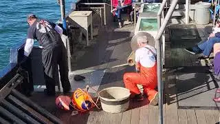 Bering Sea Crab Fisherman's Tour (Video #4)