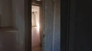 10 октября 2024 г.