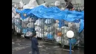 Пожар на Почте России: конец истории?