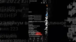 5 ноября 2023 г.