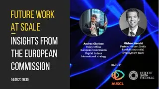 Future Work at Scale – Insights from the European Commission