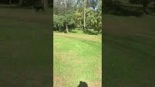 Kid crying bc fortnite is down black hole