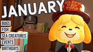 Animal Crossing New Horizons Guide to JANUARY! Bugs, Fish, Events and More! (Northern Hemisphere)