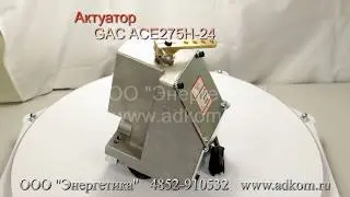 Актуатор ACE275H-24 GAC
