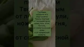 СИЛЬНАЯ МОЛИТВА ЗА ДЕТЕЙ #shorts #молитва #молитвабогу #молитвазадетей