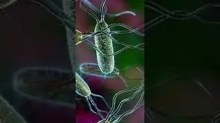 Жуткий факт про кружки и зубные щетки