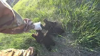 МЕТАЛО КОП  НАХОДКА ПЕРВОГО  ТРАКА И ДВА ПРИЦЕПА МЕТАЛО БЕСПЛАТНО