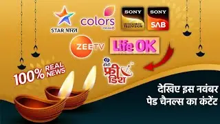New Content On DD Free Dish ( In November ) | New Updates