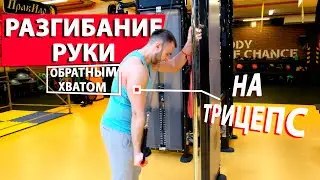 Разгибание руки в блоке обратным хватом| НА ТРИЦЕПС