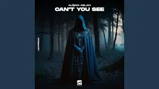 Can't You See