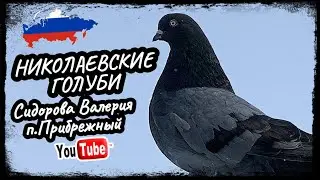 Николаевские голуби Сидорова Валерия п.Прибрежный Самарская обл. 2024