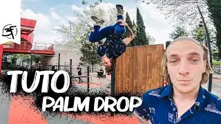 TUTO - Palm Drop 🖐️