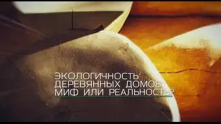 Рубленные дома проблемы экологии