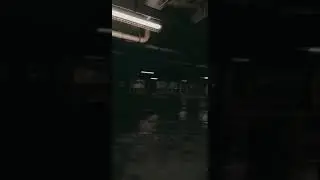Техас. На всей пустой парковке угораздило поставить машину именно в этом месте